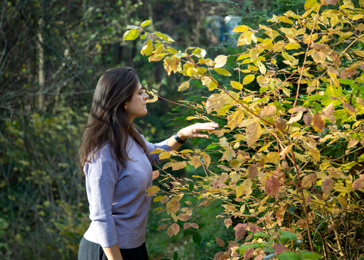 Kinesiologie im Einzelsetting