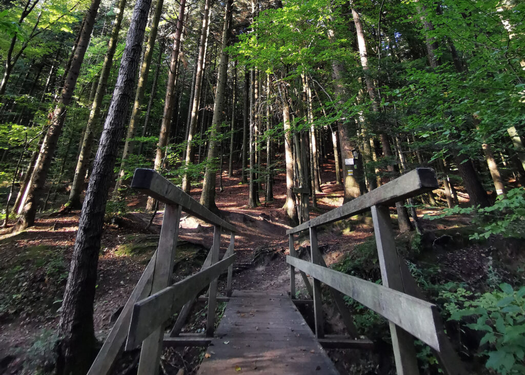 Betriebliche Gesundheitsförderung entwickelt Gesundheitskultur 
